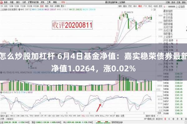 怎么炒股加杠杆 6月4日基金净值：嘉实稳荣债券最新净值1.0264，涨0.02%