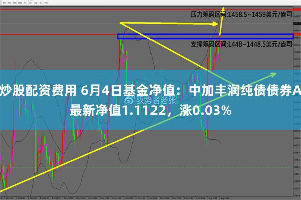 炒股配资费用 6月4日基金净值：中加丰润纯债债券A最新净值1.1122，涨0.03%