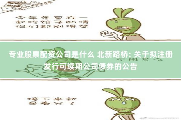 专业股票配资公司是什么 北新路桥: 关于拟注册发行可续期公司债券的公告