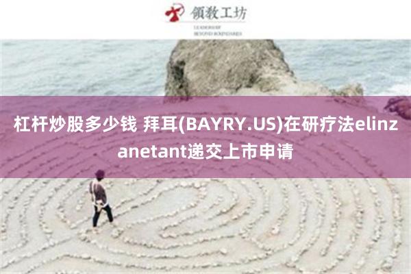 杠杆炒股多少钱 拜耳(BAYRY.US)在研疗法elinzanetant递交上市申请