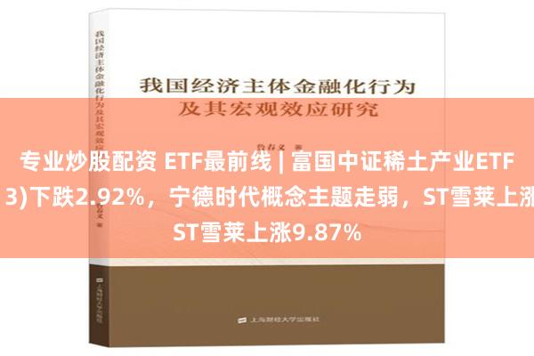 专业炒股配资 ETF最前线 | 富国中证稀土产业ETF(159713)下跌2.92%，宁德时代概念主题走弱，ST雪莱上涨9.87%