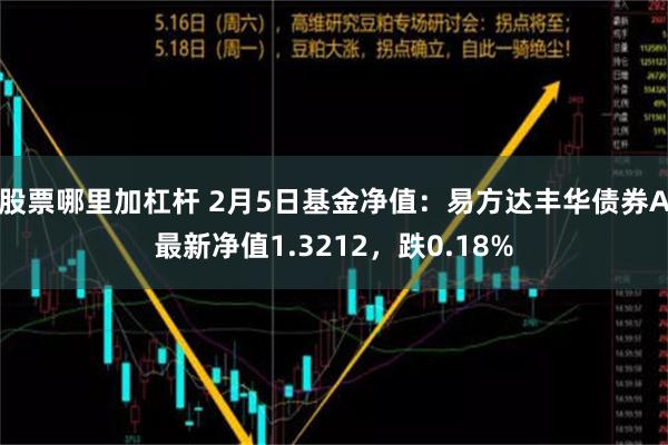 股票哪里加杠杆 2月5日基金净值：易方达丰华债券A最新净值1.3212，跌0.18%